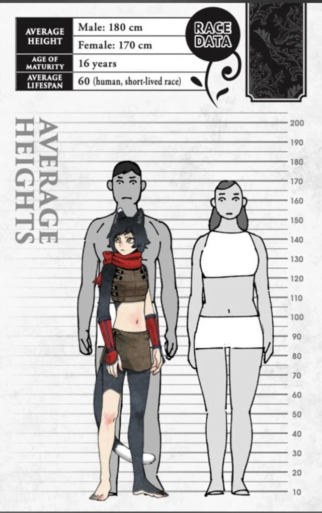 던전밥) 라이오스 파티의 신장과 각 종족의 평균 신장_6.webp