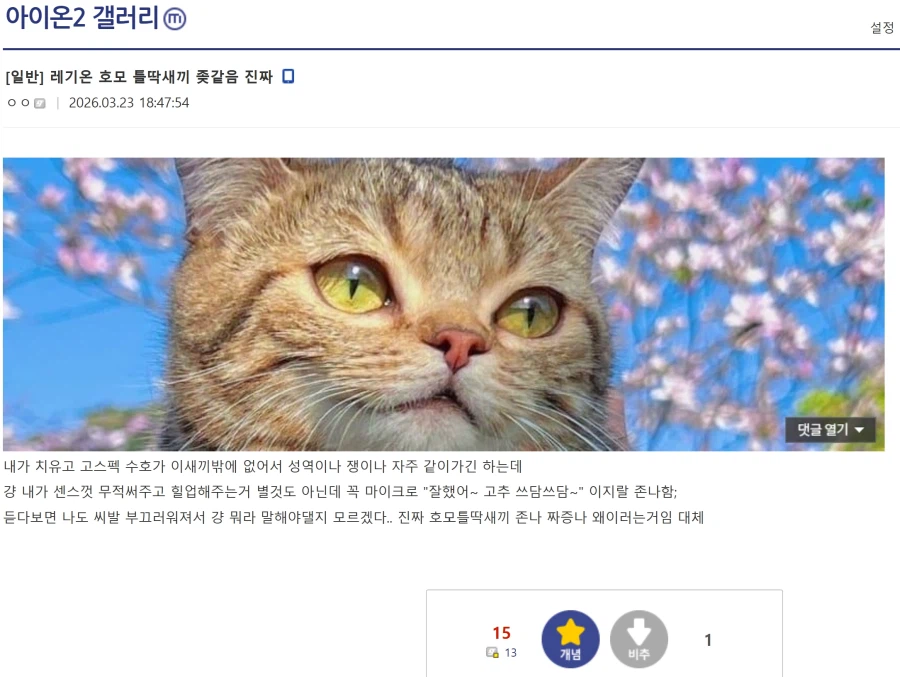 아이온2) 길드 호모 틀딱새끼 ↗같음 진짜_1.webp