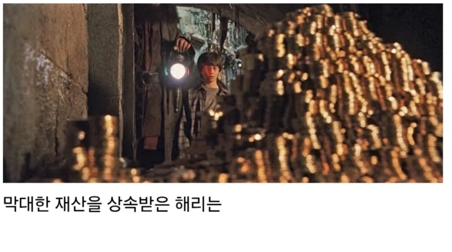 해리포터 작중에서 은근히 그냥 넘어가는 해리 론 관계.jpg_1.webp