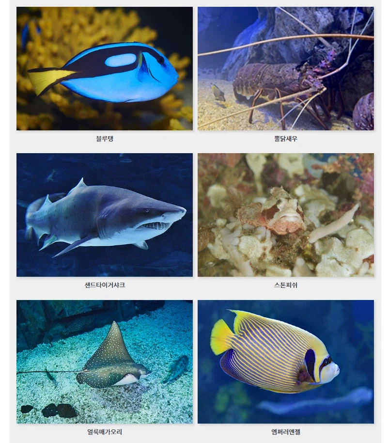 데이브 더 다이버의 비밀_2.webp