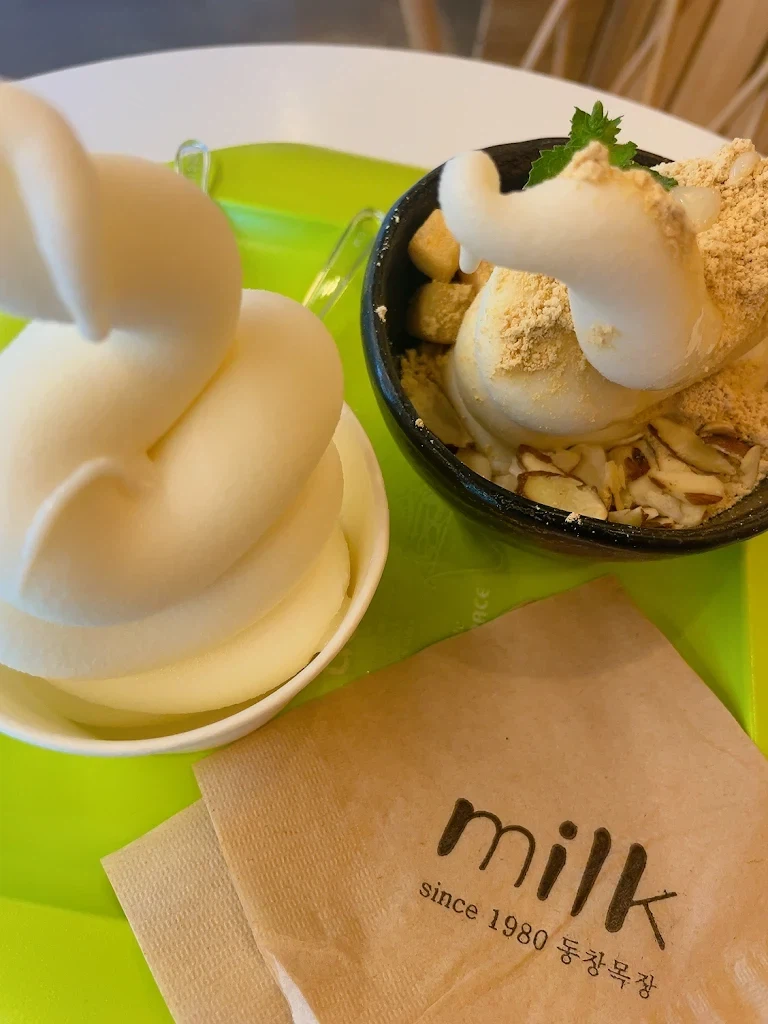 세종시에 있는 특이한 까페_2.webp