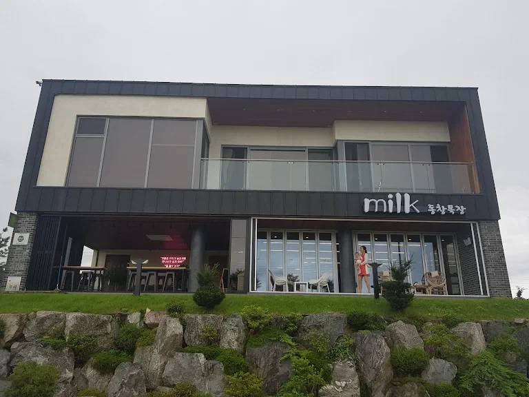 세종시에 있는 특이한 까페_3.webp