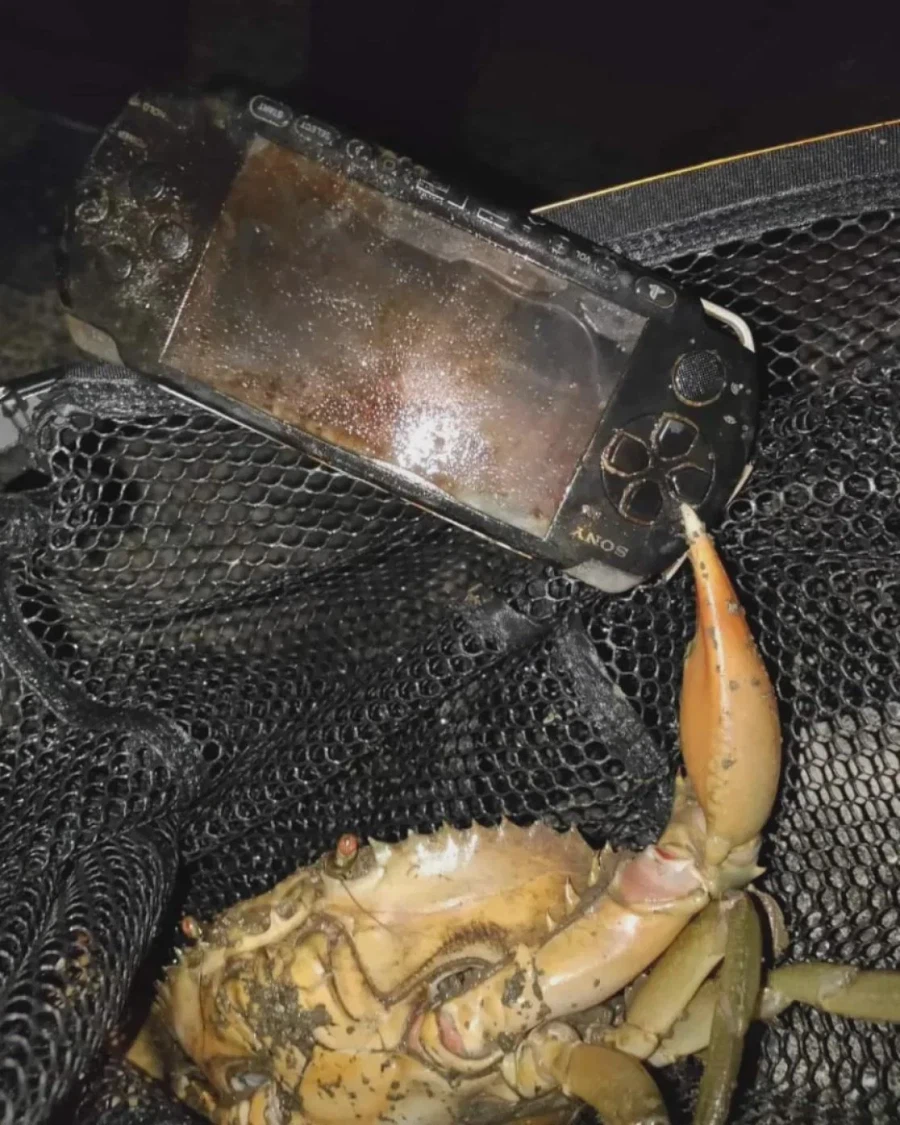 PSP 하는 게임 추천좀_1.webp