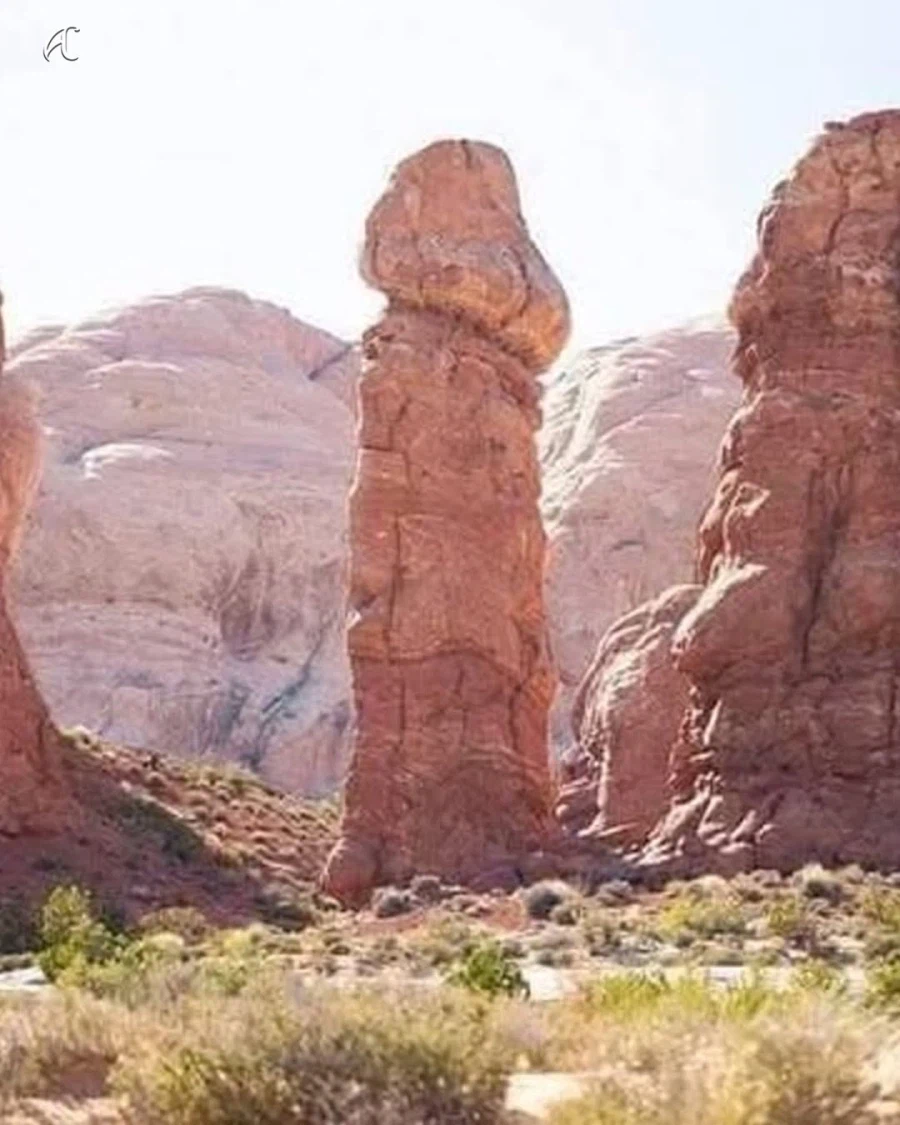 자연이 만든 특이한 바위_2.webp