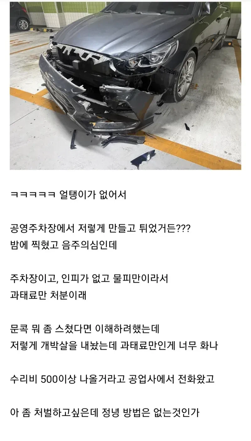 난리난 물피도주.jpg_1.webp