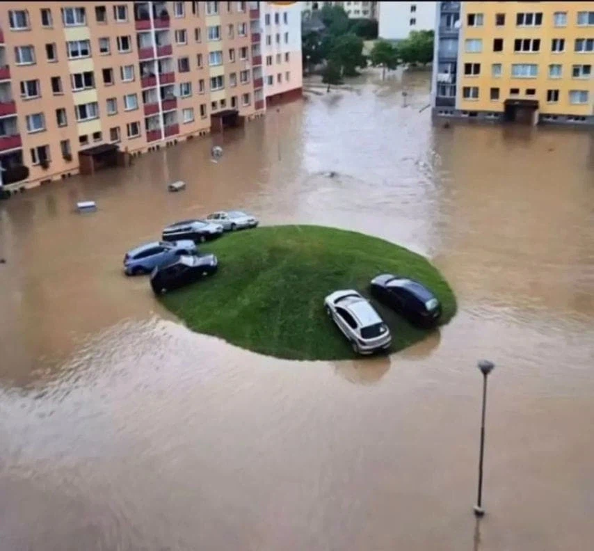 여긴 무슨 무덤에다 차를 대놨어?.jpg_3.webp