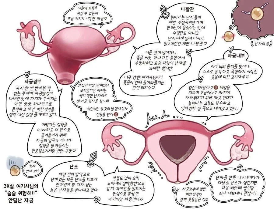 3X살노처녀의 슬슬 위험한 자궁_1.webp