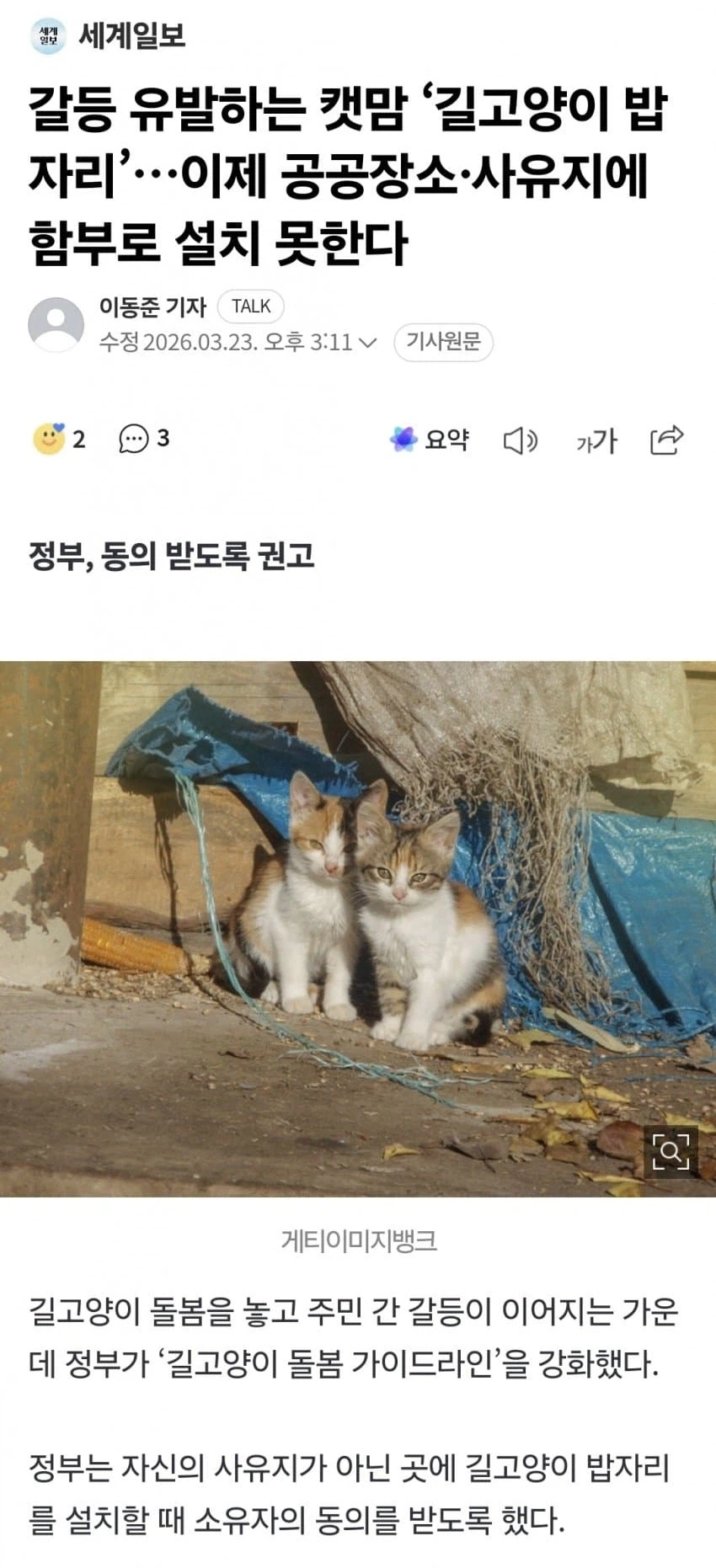 이제 공공장소, 사유지에 함부로 길고양이 밥 못 줌_1.webp