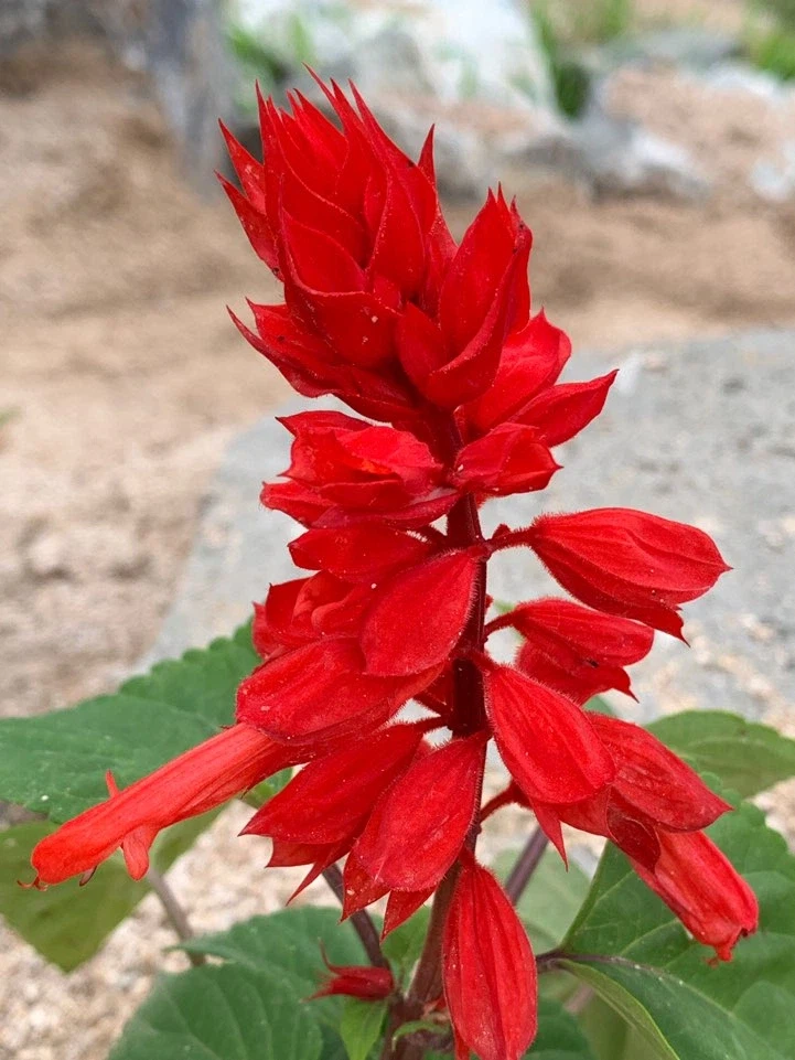 ㄹㅇ 꿀빤 세대_2.webp