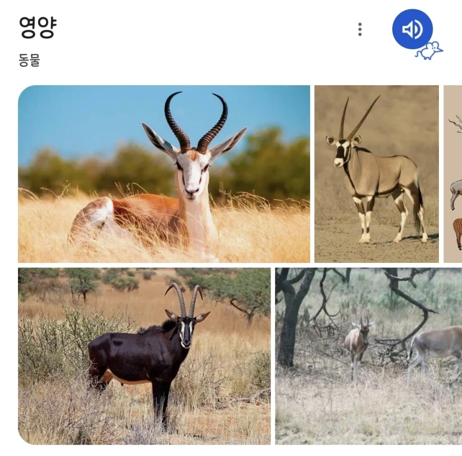 독도 먹고 영양도 먹는다..._2.webp