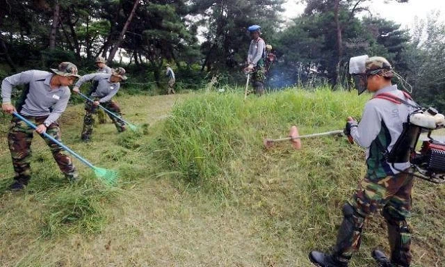 의외로 구성요소가 99% 동일한 녀석들.jpg_3.webp