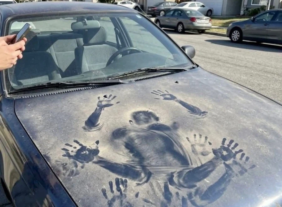 팔이 8개 달린 수수께끼의 생명체의 흔적 발견돼..._1.webp