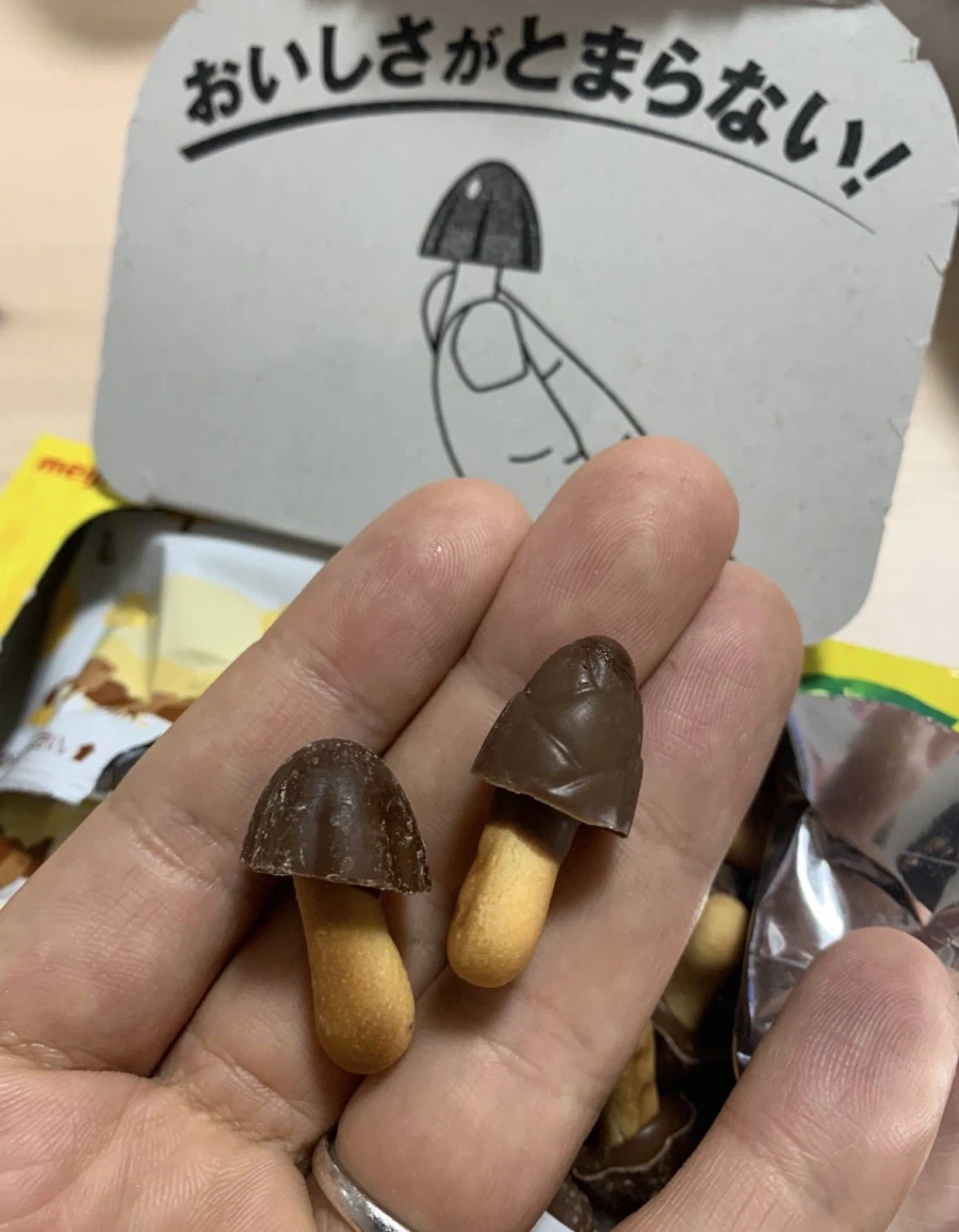 버섯파에 숨어든 스파이.jpg_1.webp