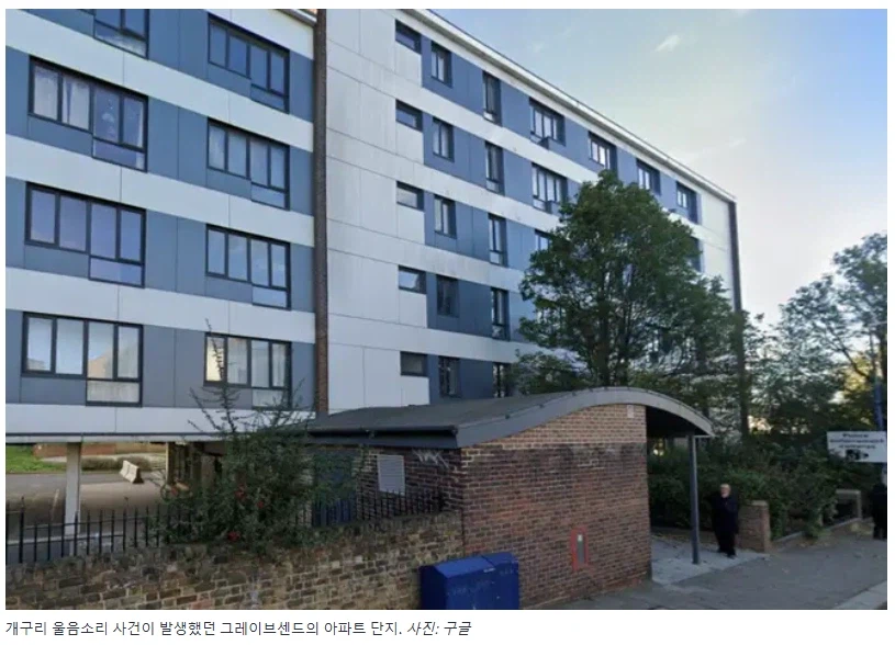 다락방에 침입자가 있다며 정신병 약까지 처방받은 영국인_2.webp