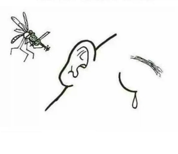 인간에게 피해를 주는게 싫었던 모기_1.webp