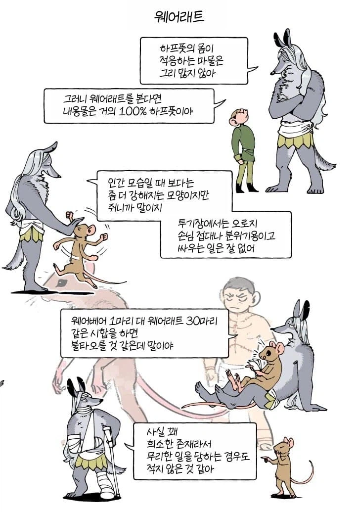 던전밥)이 세계관의 웨어 시리즈_5.webp