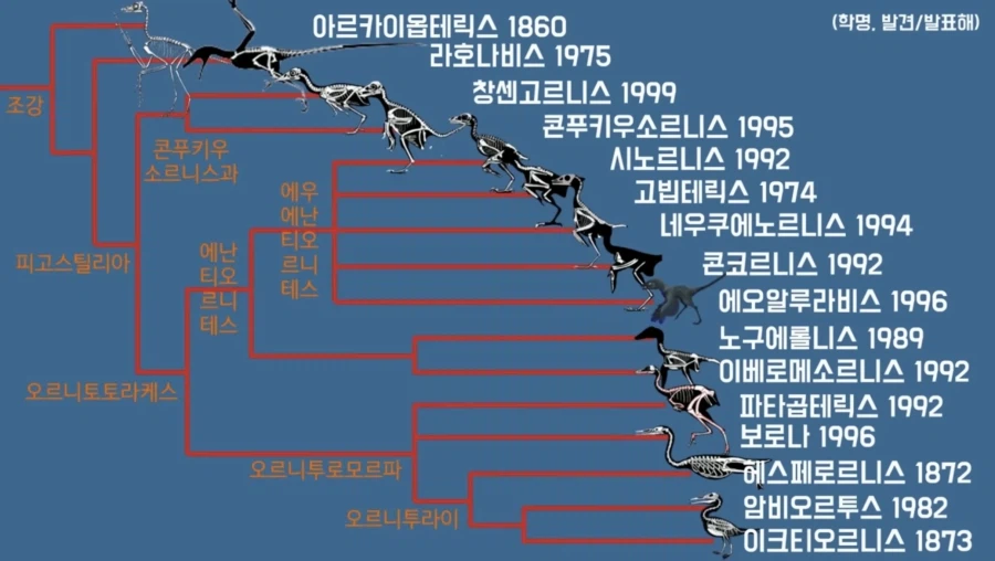???: 종류가 달라진 걸 볼 수 없으니 진화론은 거짓이다!_2.webp