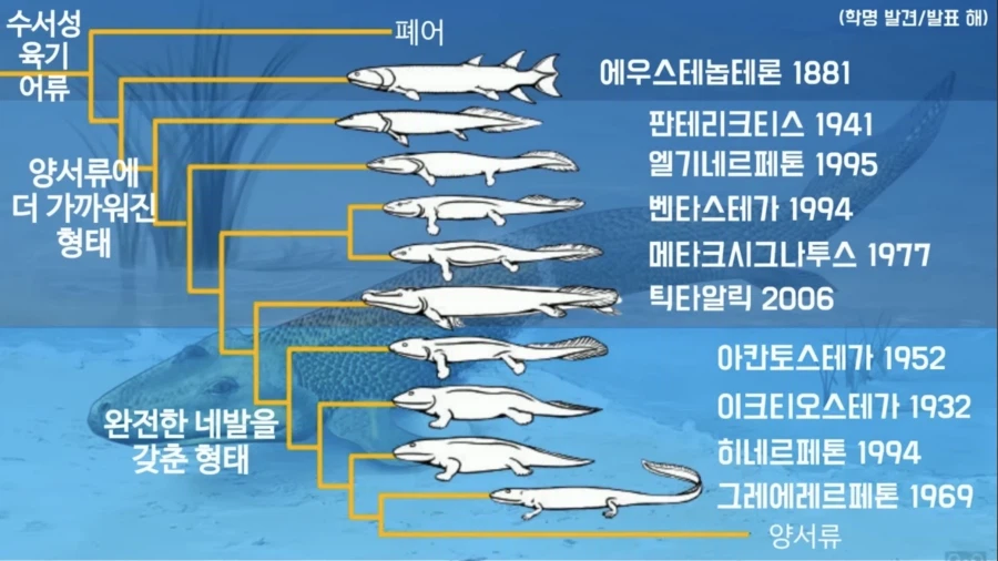 ???: 종류가 달라진 걸 볼 수 없으니 진화론은 거짓이다!_3.webp