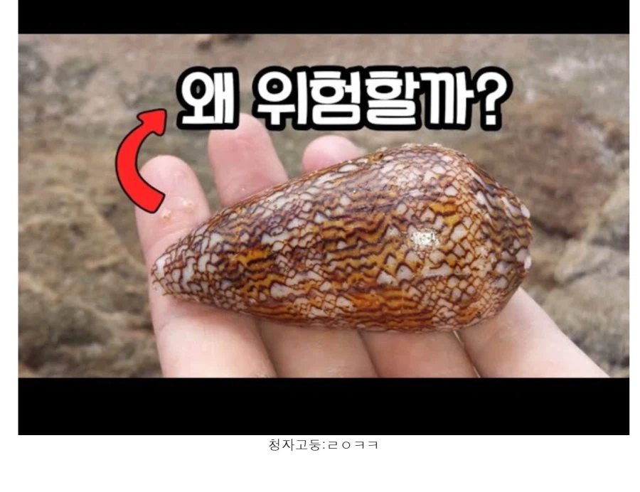 던전밥)사실 무한 목숨이어서 가능한 마물식_2.webp