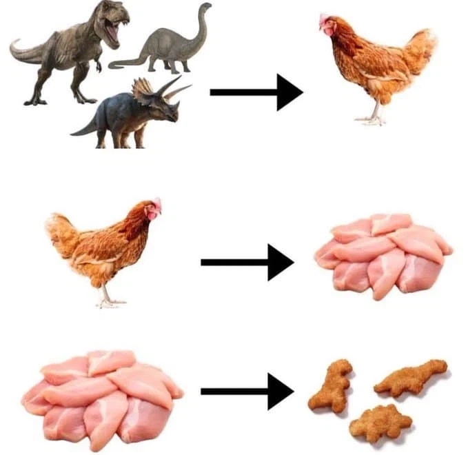 윤회사상 ㄷㄷㄷㄷㄷㄷㄷ_1.webp