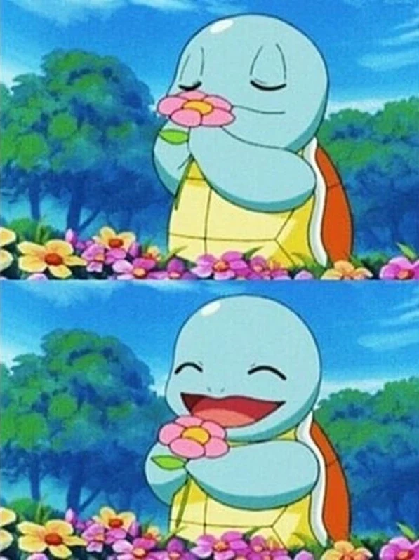 포코피아) 이제 다르게 보인다_1.webp