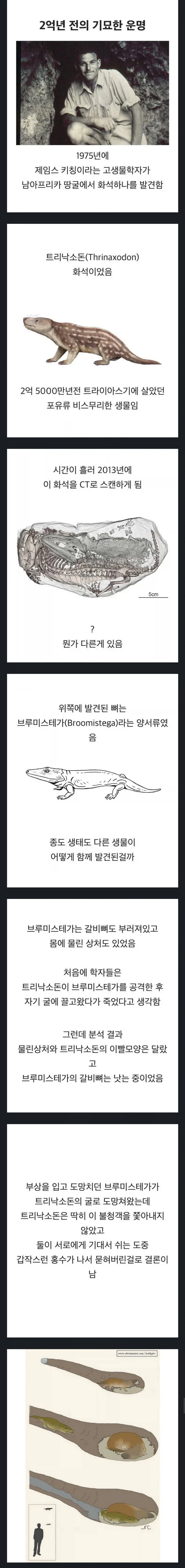 2억년을 너와 함께_1.webp