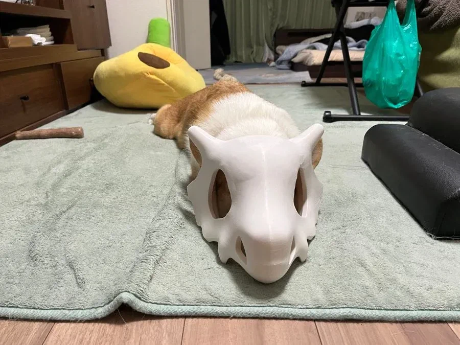 누워있는 탕구리.jpg_1.webp