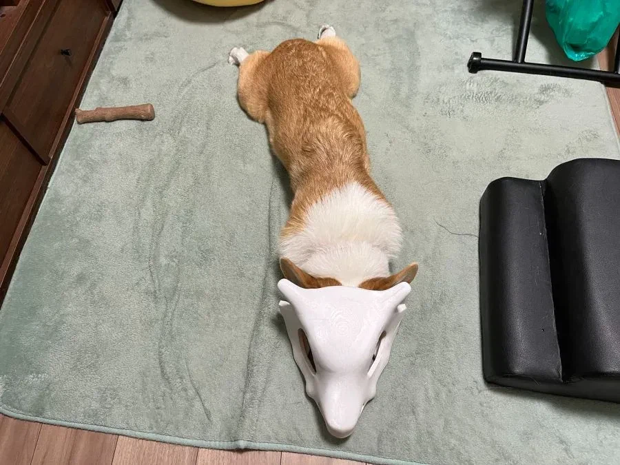 누워있는 탕구리.jpg_2.webp