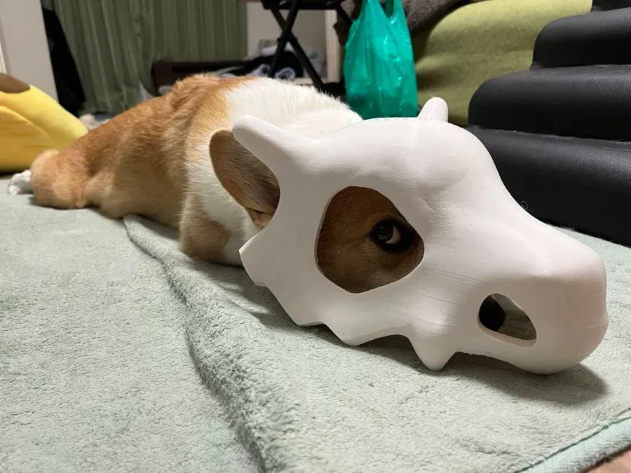 누워있는 탕구리.jpg_3.webp