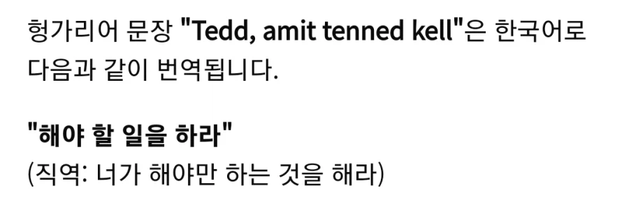 킹덤컴 유저들이 충격 받았다는 서브 퀘스트.jpg_14.webp