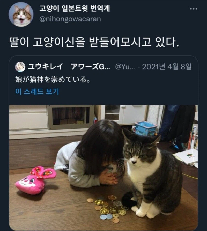 고양이 신_1.webp