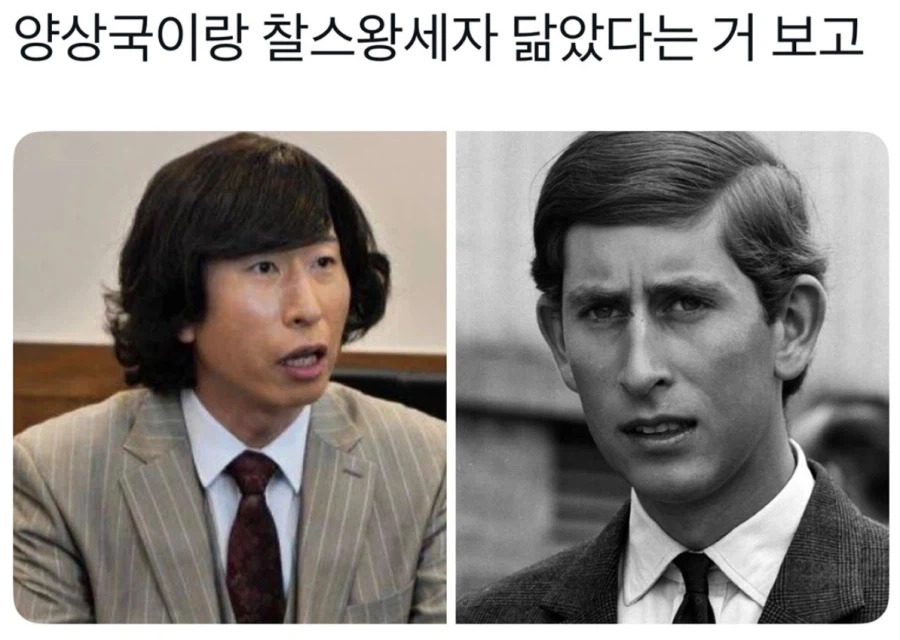 찰스 왕세자와 닮은 한국 개그맨_1.webp