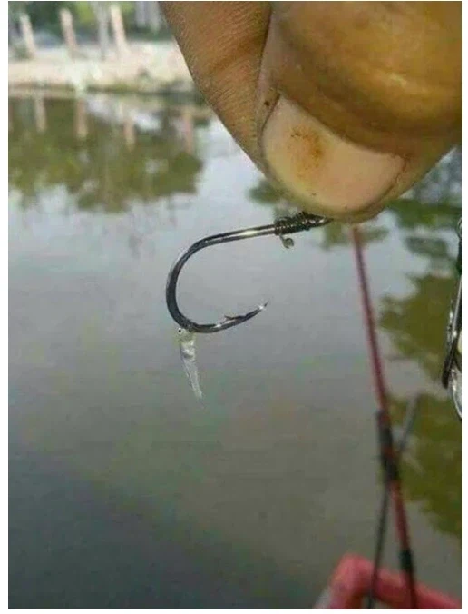 엄청난 것을 낚았다_1.webp