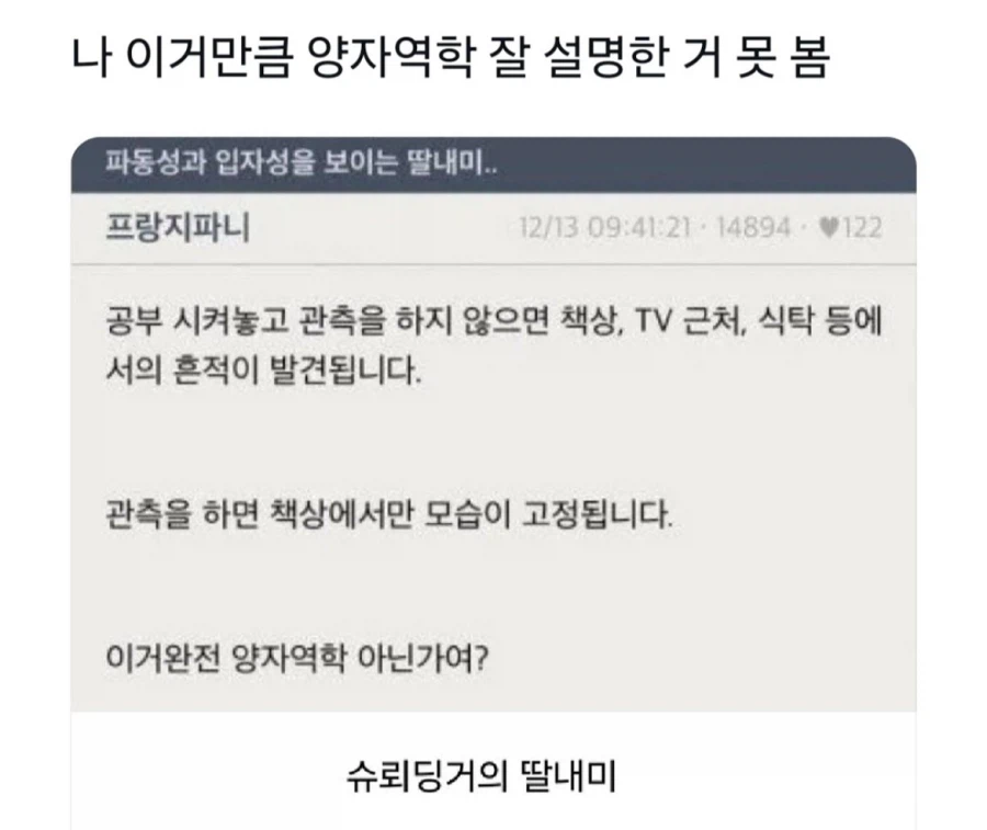 양자역학을 잘 설명한 예시 jpg._1.webp