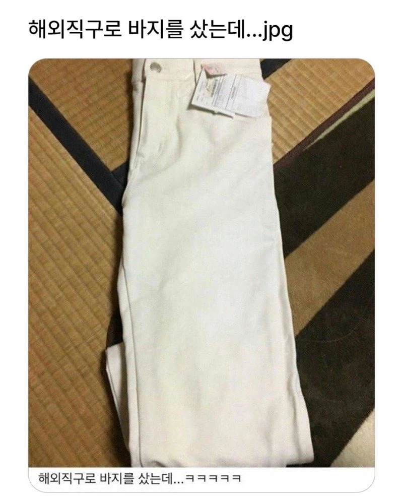테무에서 산 바지 jpg._1.webp