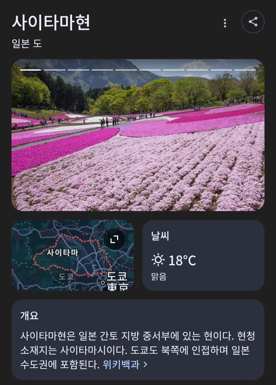 일본 서브컬처에 수상한 지역.jpg_1.webp