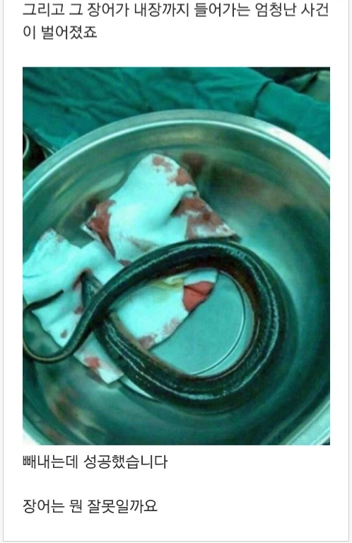 (약혐) 장어와 합체하는 사람들.jpg_2.webp