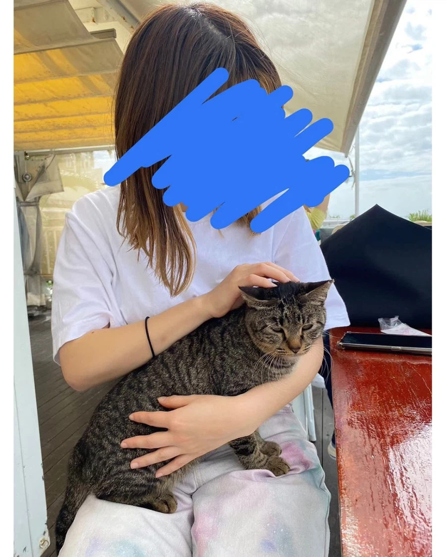 오키나와에서 만난 타코라이스 전문 도둑고양이.jpg_3.webp