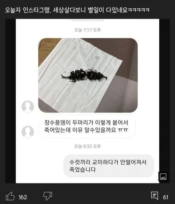 모텔서 남성 두명 교미중 사망.. 모텔주인이 발견해_1.webp