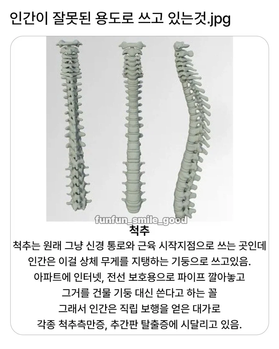 인간이 잘못된 용도로 쓰고 있는 것.jpg_1.webp