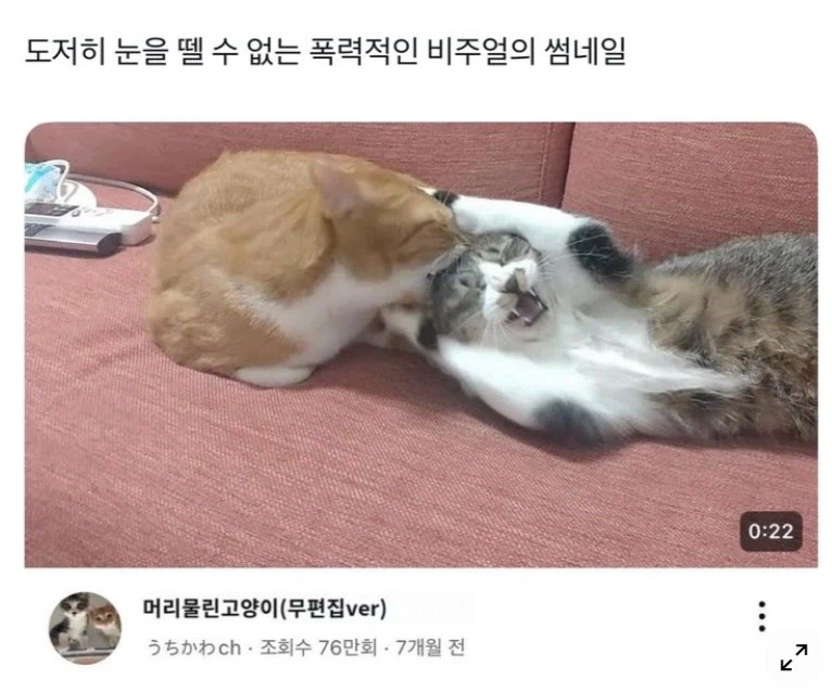 도저히 눈을 뗄수없는 폭력적인 비주얼의 썸네일.jpg_1.webp