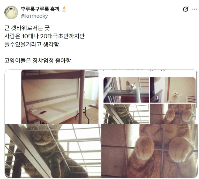 2층침대의 장점.jpg_1.webp