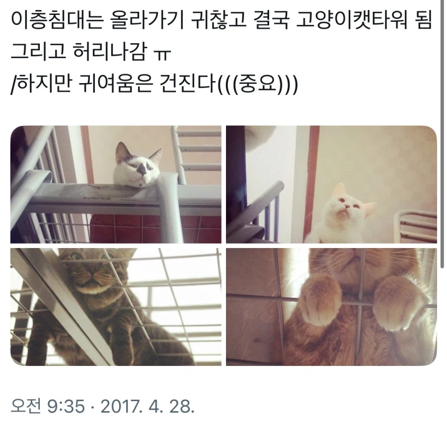 2층침대의 장점.jpg_3.webp