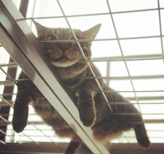 2층침대의 장점.jpg_4.webp