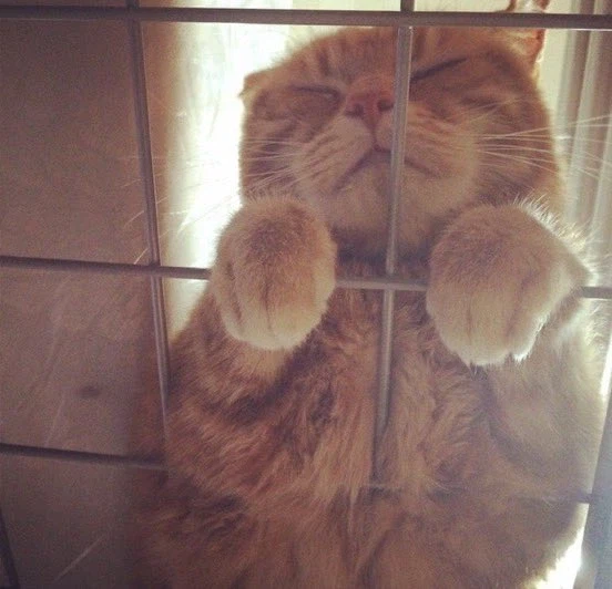 2층침대의 장점.jpg_5.webp