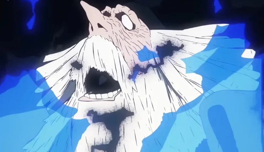 원피스 명분을 스스로 만들어 준거였음_3.webp