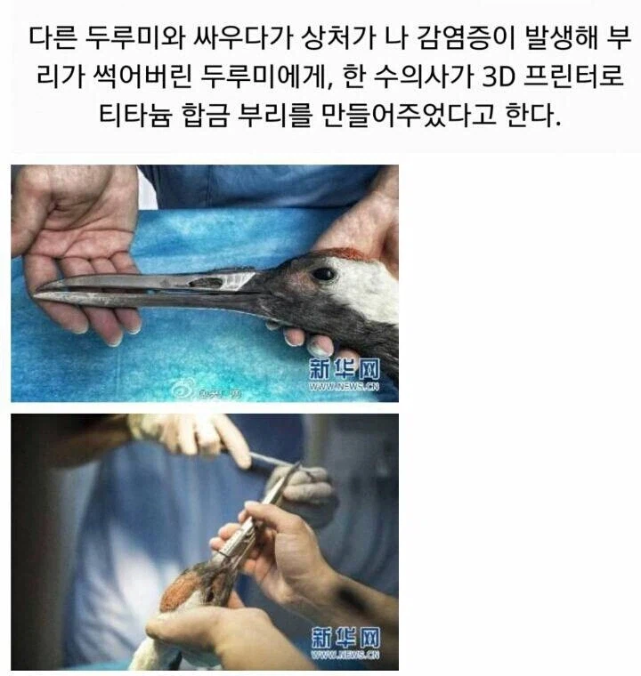 검이 부러지고 병든 검투사에게 최강의 검을 선사한.jpg_1.webp