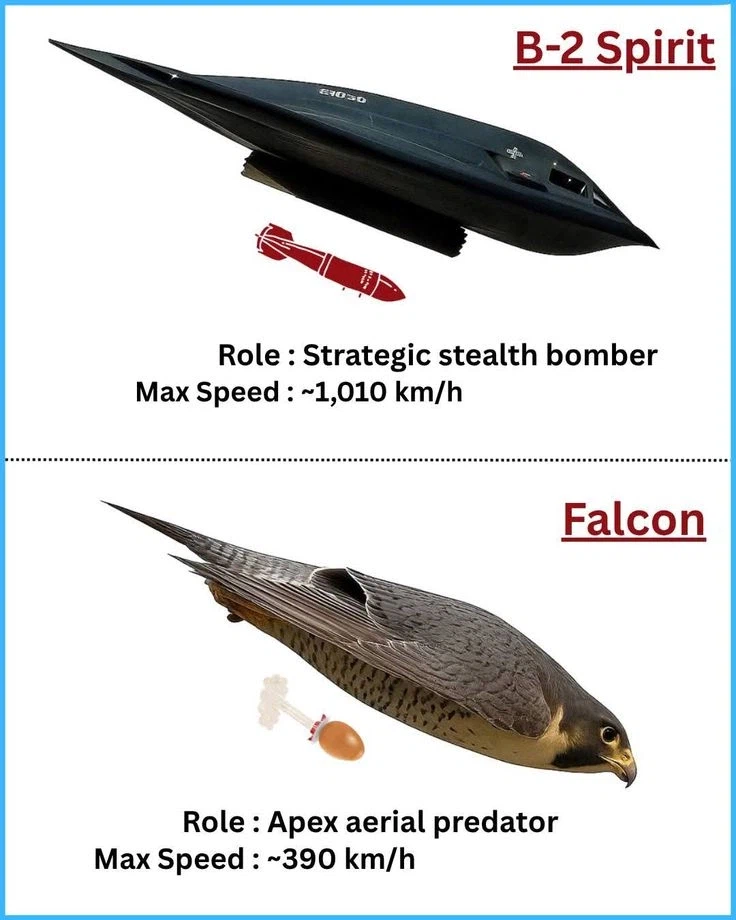 스텔스 폭격기의 기원_3.webp