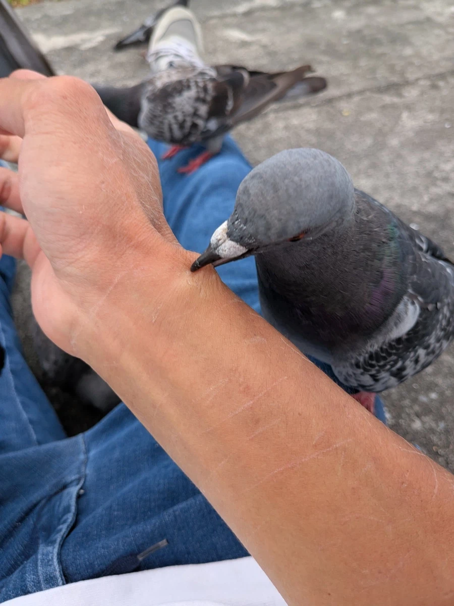 뭐야, 이거 먹을 수 있는거야?_1.webp