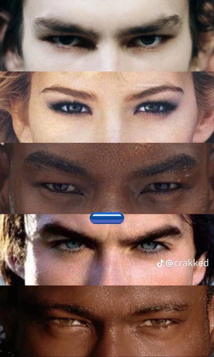 미국에서 전통적으로 예전부터 선호하던 눈.jpg_9.webp